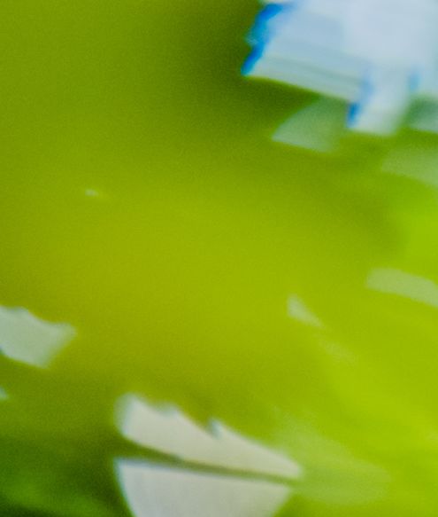 CBD Marketing